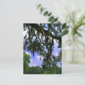 モススペインのス ポストカード (スタンド正面)