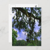 モススペインのス ポストカード (正面/裏面)