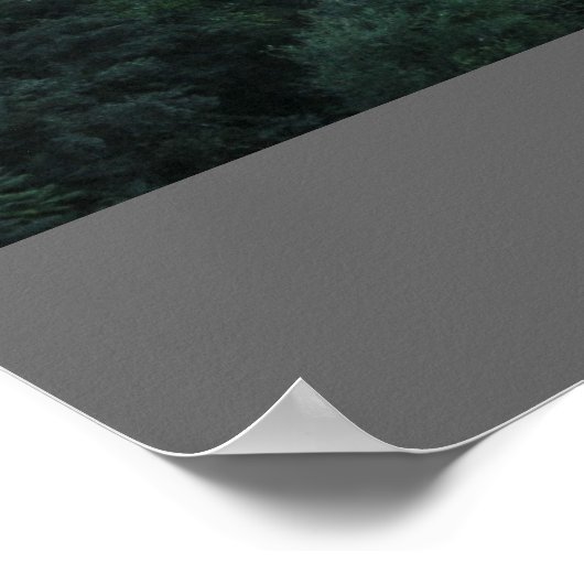 モスター ポスター (角)