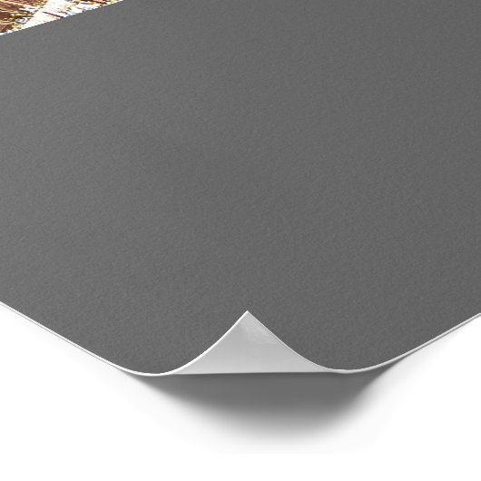 モスター ポスター (角)