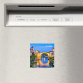 モスター マグネット (インサイチュ (食洗機))