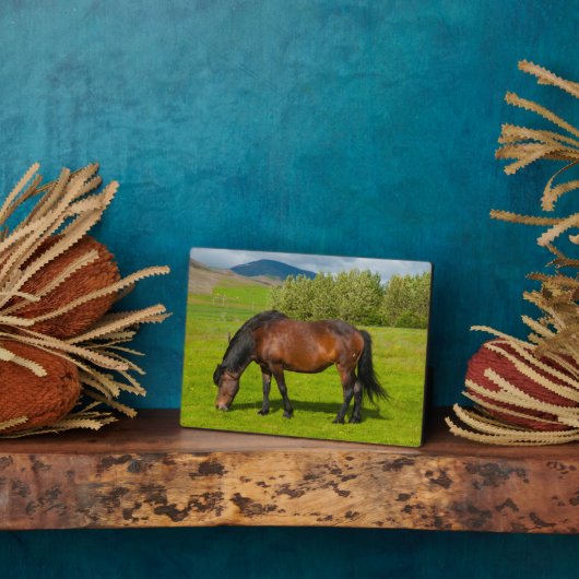 モスフェルスバーアイスランドホース フォトプラーク (側面)