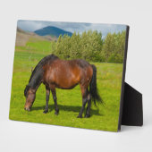 モスフェルスバーアイスランドホース フォトプラーク (側面)