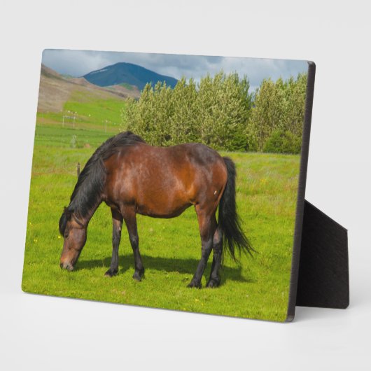 モスフェルスバーアイスランドホース フォトプラーク (側面)
