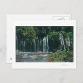 モスブレイフォールズシャスタ春の表示, CA ポストカード (正面/裏面)