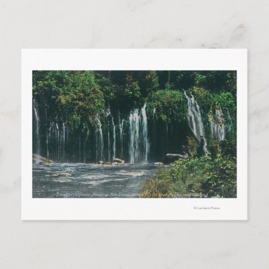 モスブレイフォールズシャスタ春の表示, CA ポストカード (正面)