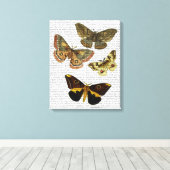 モスプレート4 キャンバスプリント (インサイチュ (ウッドフロア))