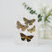 モスプレート4 ポストカード (スタンド正面)