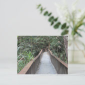 モスマン渓谷 – クイーンズランド州 ポストカード (スタンド正面)