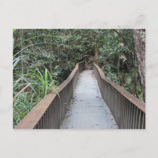 モスマン渓谷 – クイーンズランド州 ポストカード