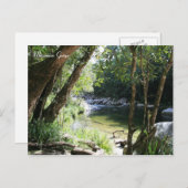 モスマン渓谷，クイーンズランド – はがき (正面/裏面)