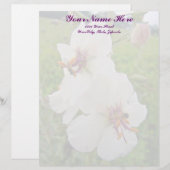 モスムレインワイルドフラワーレターヘッド レターヘッド (正面/裏面)