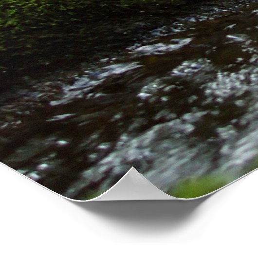 モス秋 ポスター (角)