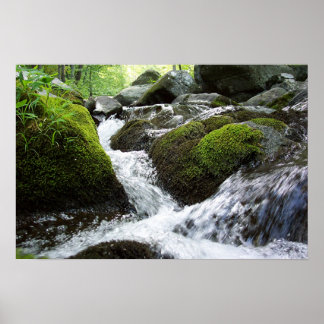 モス秋 ポスター