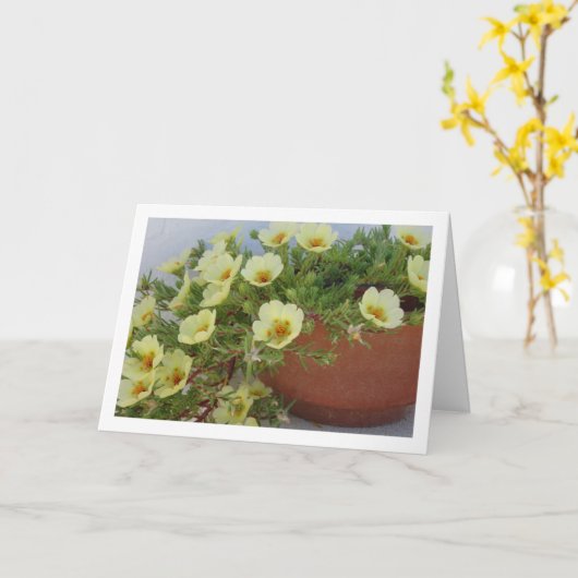 モス・ローズ ポースラン、肉厚な花を咲かせる植物 カード (黄色い花)