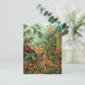 モス(Muscinae)バイヘッケル ポストカード (スタンド正面)