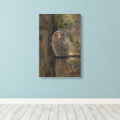 モズクイフクロウの絵画 14 x 28 キャンバスプリント (インサイチュ (ウッドフロア))