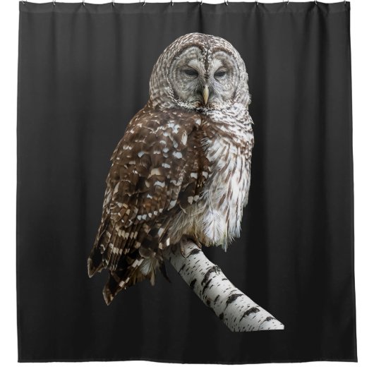 モズクイフクロウ シャワーカーテン (正面)