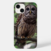 モズクフクロウ iPhone 14 カバー (裏面)