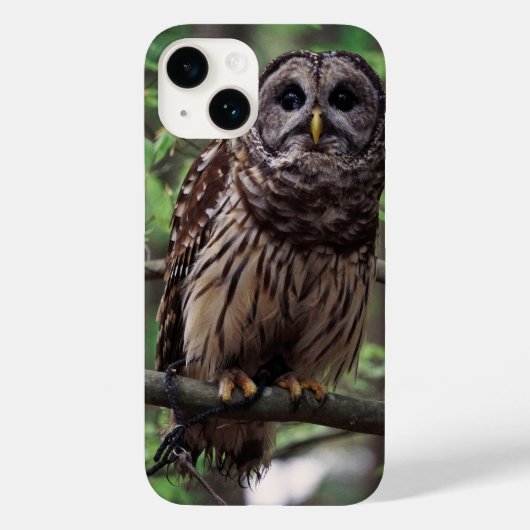 モズクフクロウ iPhone 14 カバー (裏面)