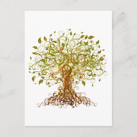 モダニストカラフルツリー13 ポストカード (正面)