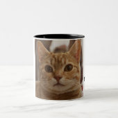 モダンおもしろいネコ母フォトコラージュ引用文 ツートーンマグカップ (中央)