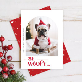 モダンでおかしい犬のペットアーチフォトクリスマス シーズンカード