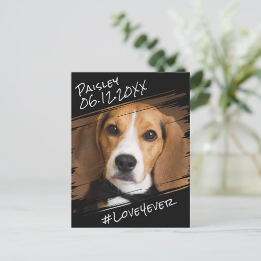 モダンでおしゃれなエレガントシンプル 黒いペット犬のメモリアル ポストカード (スタンド正面)