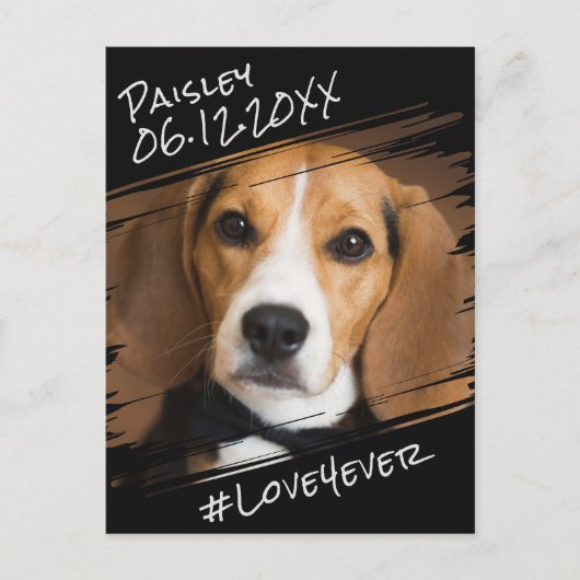 モダンでおしゃれなエレガントシンプル 黒いペット犬のメモリアル ポストカード (正面)