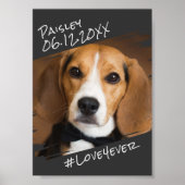 モダンでおしゃれなエレガントシンプル 黒いペット犬の記念品 ポスター (正面)