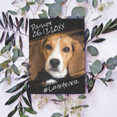 モダンでおしゃれなシンプルな黒のペットメモリアル ポストカード