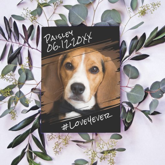 モダンでおしゃれなシンプルな黒のペットメモリアル ポストカード