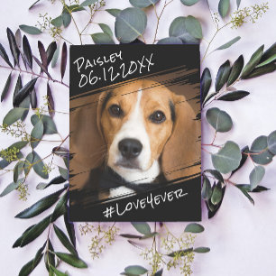 モダンでおしゃれなシンプル 黒いペット ドッグ メモリアル ポストカード