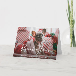 モダンでおしゃれなペットの犬の写真入りクリスマスカード シーズンカード