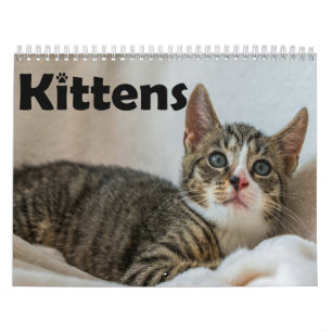 モダンでかわいいペット子猫の写真 年間カレンダー カレンダー