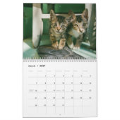 モダンでかわいいペット子猫の写真 年間カレンダー カレンダー (3月 2027)