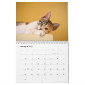 モダンでかわいいペット子猫の写真 年間カレンダー カレンダー (1月 2027)