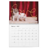 モダンでかわいいペット子猫の写真 年間カレンダー カレンダー (2月 2027)