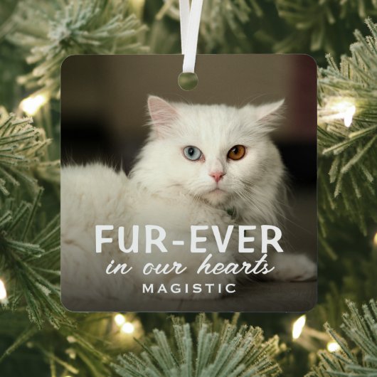 モダンでかわいい写真入り 猫のメモリアルキーピー メタルオーナメント (インサイチュ)