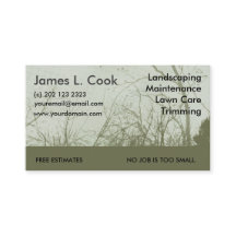 モダンでエレガントな緑に造園の芝生の心配の刈ること