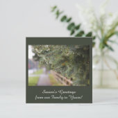 モダンでエレガントな輝きを放つ常緑樹の針葉樹の緑 シーズンカード (スタンド正面)