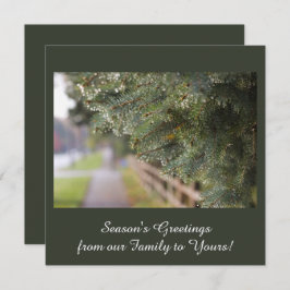 モダンでエレガントな輝きを放つ常緑樹の針葉　緑 シーズンカード