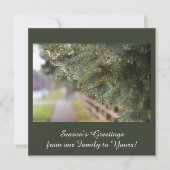 モダンでエレガントな輝く常緑の針葉樹の緑 シーズンカード (正面)