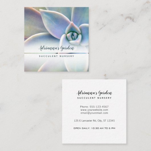 モダンでミニマルで水気が多い植物の子供部屋の写真 スクエア名刺 (正面/裏面)