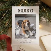 モダンで可愛い犬の写真のクリスマスカード