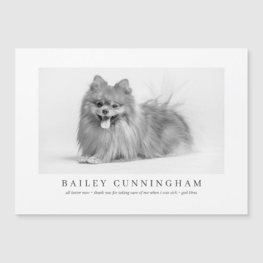 モダンとシンプルPhoto Pet 感謝してい Vetナース (正面)