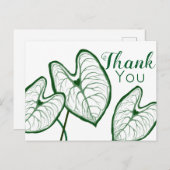モダンなカラディウム植物　ありがとうございます ポストカード (正面/裏面)
