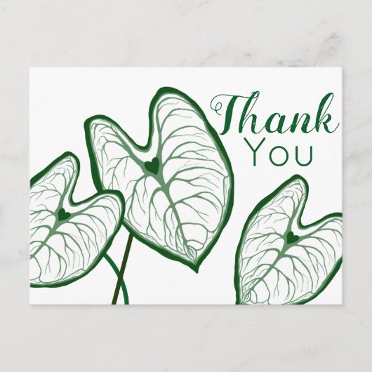 モダンなカラディウム植物　ありがとうございます ポストカード (正面)
