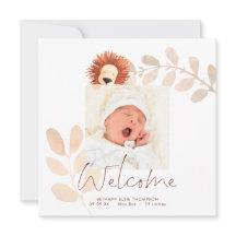 モダンなキュートなライオンの赤ちゃん写真 出生発表