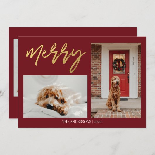 モダンなクリスマスの犬の写真 シーズンカード (正面/裏面)